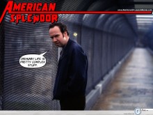 American Splendor in tunnel wallpaper