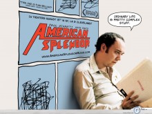 American Splendor ordinary life wallpaper