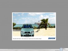 Fiat Punto palm tree picture wallpaper