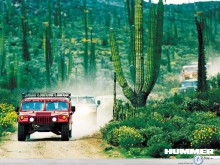 Hummer H1 cactus view wallpaper