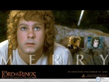 Lord Of The Ring merry wallpaper